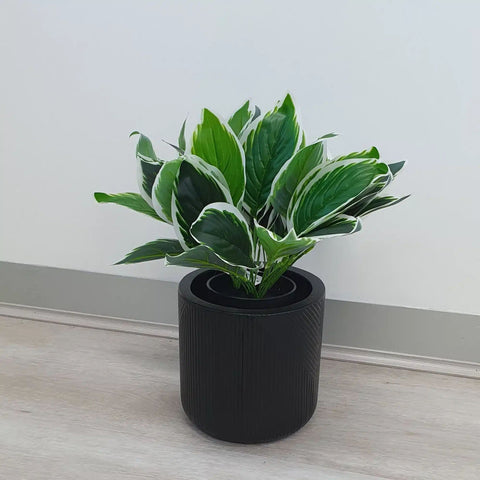 Dense Potted Artificial Calathea Plant 35cm