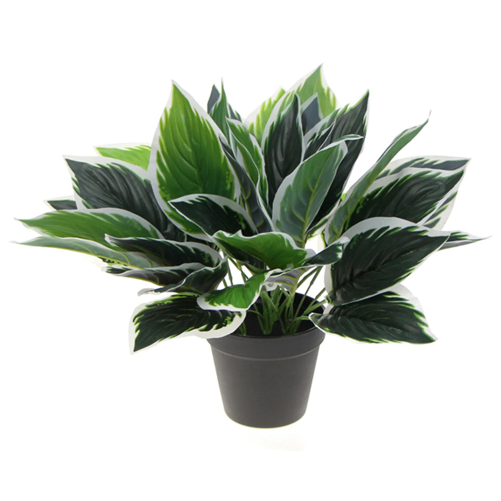 Dense Potted Artificial Calathea Plant 35cm