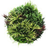 Slimline Artificial Green Wall Disc Art 80cm Grassy Fern UV Resistant (White)