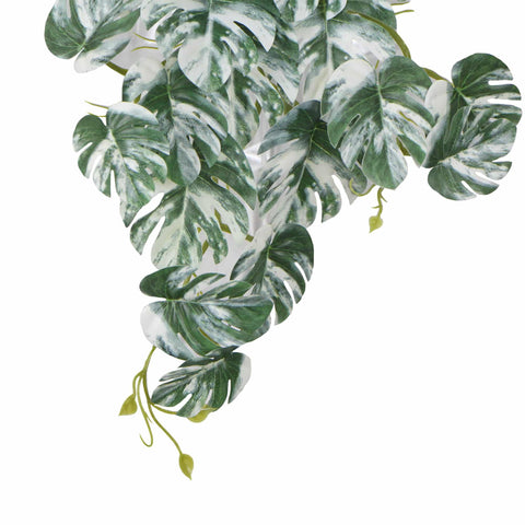 Artificial White & Green Monstera Albo Variegata 45cm