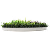 Slimline Artificial Green Wall Disc Art 100cm Grassy Fern UV Resistant (White)
