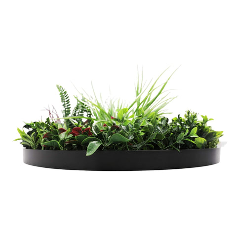 Slimline Artificial Green Wall Disc Art 60cm Colour Fresh UV Resistant (Black)