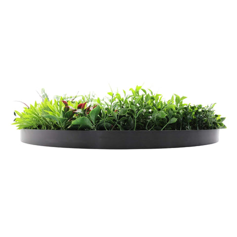 Slimline Artificial Green Wall Disc Art 80cm Colour Fresh UV Resistant (Black)