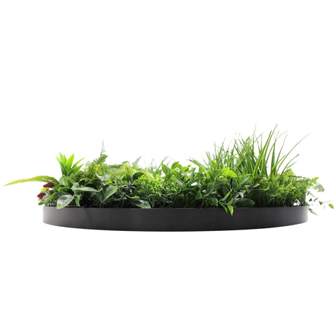 Slimline Artificial Green Wall Disc Art 80cm Country Fern UV Resistant (Black)