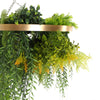 Imitation Gold Artificial Hanging Green Wall Disc 60cm (Limited Edition)