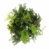 Imitation Gold Artificial Hanging Green Wall Disc 60cm (Limited Edition)