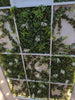Long Two-tone Ivy Garland UV Treated 190cm - lifestyle image