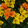 Bougainvillea Bloom Tree – Yellow & Orange Faux Florals (120cm, UV Treated) - back view
