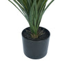artificial yucca grass base in black pot with soil detail suitable for vertical garden installation