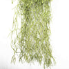 Artificial Air Plant / Spanish Moss (Old Man Beard) 60cm - Designer Vertical Gardens artificial green wall australia green wall