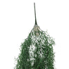 Artificial Air Plant Spanish Moss UV Resistant 100cm - Designer Vertical Gardens fake plant stem hanging fern