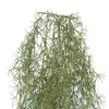 Artificial Air Plant Spanish Moss UV Resistant 100cm - Designer Vertical Gardens fake plant stem hanging fern