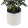Artificial Begonia Plant In Decorative Bowl 30cm - Designer Vertical Gardens Artificial Shrubs and Small plants Flowering plants