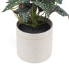 Artificial Bergonia Plant In Decorative Bowl 30cm - Designer Vertical Gardens Artificial Shrubs and Small plants Flowering plants