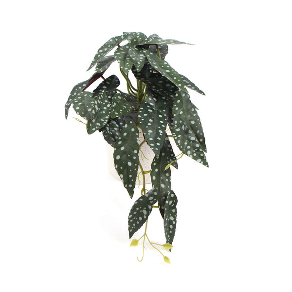 Artificial Bergonia Plant In Decorative Bowl 30cm - Designer Vertical Gardens Artificial Shrubs and Small plants Flowering plants