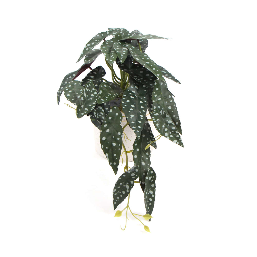 Artificial Bergonia Plant In Decorative Bowl 30cm - Designer Vertical Gardens Artificial Shrubs and Small plants Flowering plants