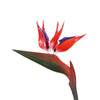 Artificial Bird Of Paradise Plant 110cm (Red Flowers) - Designer Vertical Gardens Flowering plants indoor