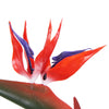 Artificial Bird Of Paradise Plant 110cm (Red Flowers) - Designer Vertical Gardens Flowering plants indoor