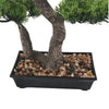 Artificial Bonsai Tree 70cm x 45cm - Premium Handmade Potted Plant - Designer Vertical Gardens artificial bonsai Artificial Trees