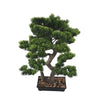 Artificial Bonsai Tree 70cm x 45cm - Premium Handmade Potted Plant - Designer Vertical Gardens artificial bonsai Artificial Trees
