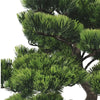Artificial Bonsai Tree 70cm x 45cm - Premium Handmade Potted Plant - Designer Vertical Gardens artificial bonsai Artificial Trees