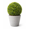 Artificial Boxwood Topiary Ball 28cm - UV Resistant Mixed Green Foliage - Designer Vertical Gardens artificial topiary artificial topiary ball