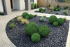 Artificial Boxwood Topiary Ball 28cm - UV Resistant Mixed Green Foliage - Designer Vertical Gardens artificial topiary artificial topiary ball