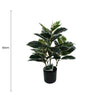 Artificial Bushy Dense Variegated Ficus Tree (Rubber Tree) 50cm - Designer Vertical Gardens Artificial Ficus artificial garden plants