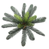 Artificial Cyac (Cycad) Plant 60cm - Designer Vertical Gardens artificial green wall sydney Artificial Trees