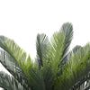 Artificial Cyac (Cycad) Plant 60cm - Designer Vertical Gardens artificial green wall sydney Artificial Trees