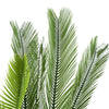 Artificial Cycas / Cycad Palm Tree 105cm UV Resistant - Designer Vertical Gardens Artificial Trees Artificial Trees for Balconies
