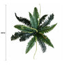 Artificial Dark Green Boston Fern 60cm - Designer Vertical Gardens artificial green wall sydney artificial vertical garden melbourne