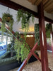 Artificial Dense Hanging Evergreen Plant (Two - Tone) 130cm - Designer Vertical Gardens fake plant stem garland