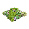 Artificial Dense Succulent Vertical Garden Panel – UV Resistant (50cm x 50cm) - Designer Vertical Gardens artificial vertical green wall