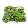 Artificial Dense Succulent Vertical Garden Panel – UV Resistant (50cm x 50cm) - Designer Vertical Gardens artificial vertical green wall