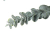 Artificial Eucalyptus Stem 77cm Long (5 Pieces) - Designer Vertical Gardens artificial eucalyptus artificial eucalyptus stems