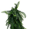Artificial Hanging Boston Fern Garland – UV Resistant & Fire Rated (27cm x 84cm) - Designer Vertical Gardens artificial hanging ferns hanging fern