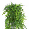 Artificial Hanging Lace Fern Garland – UV Resistant & Fire Rated (15cm x 76cm) - Designer Vertical Gardens artificial hanging ferns hanging fern