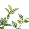 Artificial Hanging Plant - Mixed Philodendron Bush - 80cm - Designer Vertical Gardens artificial garden wall plants artificial green wall australia