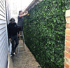 Artificial Ivy Hedge Panel 1m x 1m – SGS UV Resistant - Designer Vertical Gardens artificial garden wall plants artificial green wall australia