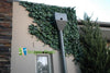 Artificial Ivy Hedge Panel 1m x 1m – SGS UV Resistant - Designer Vertical Gardens artificial garden wall plants artificial green wall australia