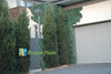 Artificial Ivy Hedge Panel 1m x 1m – SGS UV Resistant - Designer Vertical Gardens artificial garden wall plants artificial green wall australia