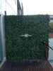Artificial Ivy Hedge Panel 1m x 1m – SGS UV Resistant - Designer Vertical Gardens artificial garden wall plants artificial green wall australia