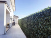 Artificial Ivy Leaf Roll 3m X 1m (Camellia Style Fake Ivy Roll) - Designer Vertical Gardens artificial garden wall plants artificial green wall australia