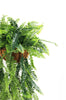 Artificial Lush Fern Hanging Basket – UV Resistant (35cm x 125cm) - Designer Vertical Gardens hanging