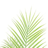 Artificial Modern Bushy Areca Fern Tree 120cm - Designer Vertical Gardens Artificial Trees Bamboos and Palm