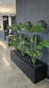 Artificial Monstera Tree 150cm - Premium Potted Split Leaf Plant - Designer Vertical Gardens Artificial Trees Artificial Trees for Commercial Properties