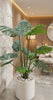 Artificial Monstera Tree 150cm - Premium Potted Split Leaf Plant - Designer Vertical Gardens Artificial Trees Artificial Trees for Commercial Properties