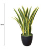 Artificial Mother in Law Tongue / Yellow Tongue Sansevieria UV Resistant 60CM - Designer Vertical Gardens Artificial Shrubs and Small plants Artificial Trees