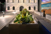 Artificial Mother in Law Tongue / Yellow Tongue Sansevieria UV Resistant 60CM - Designer Vertical Gardens Artificial Shrubs and Small plants Small Artificial Desk Plants
